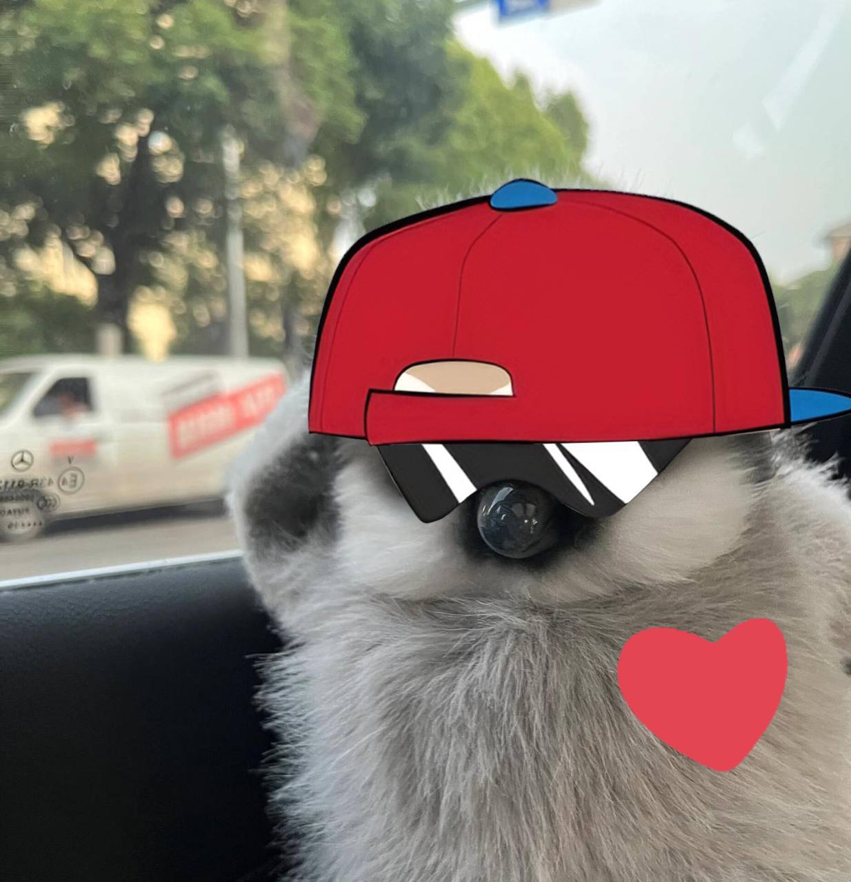 Meme 1