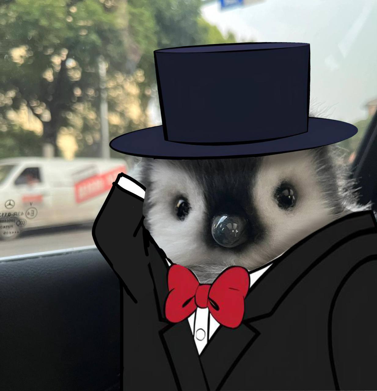 Meme 3