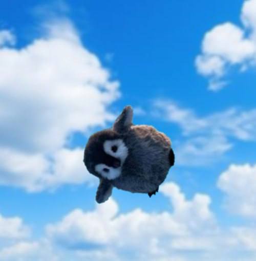 Meme 4