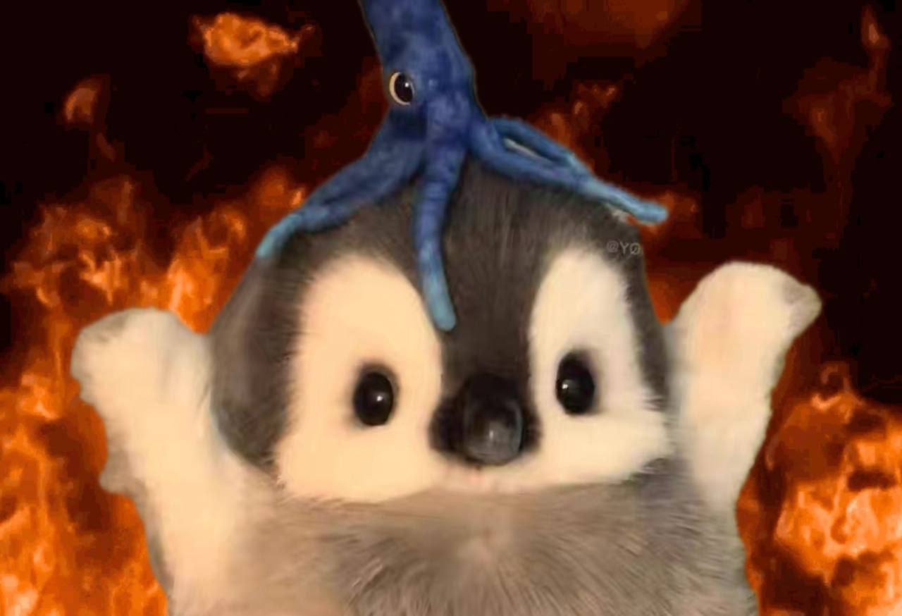 Meme 6