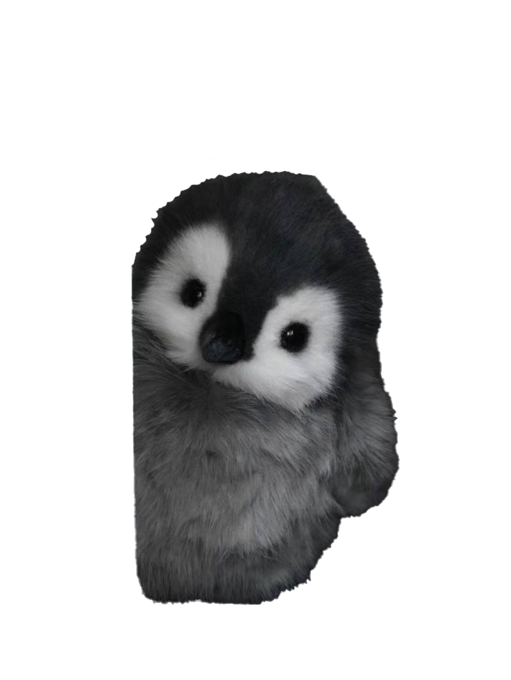 Peanie Peek