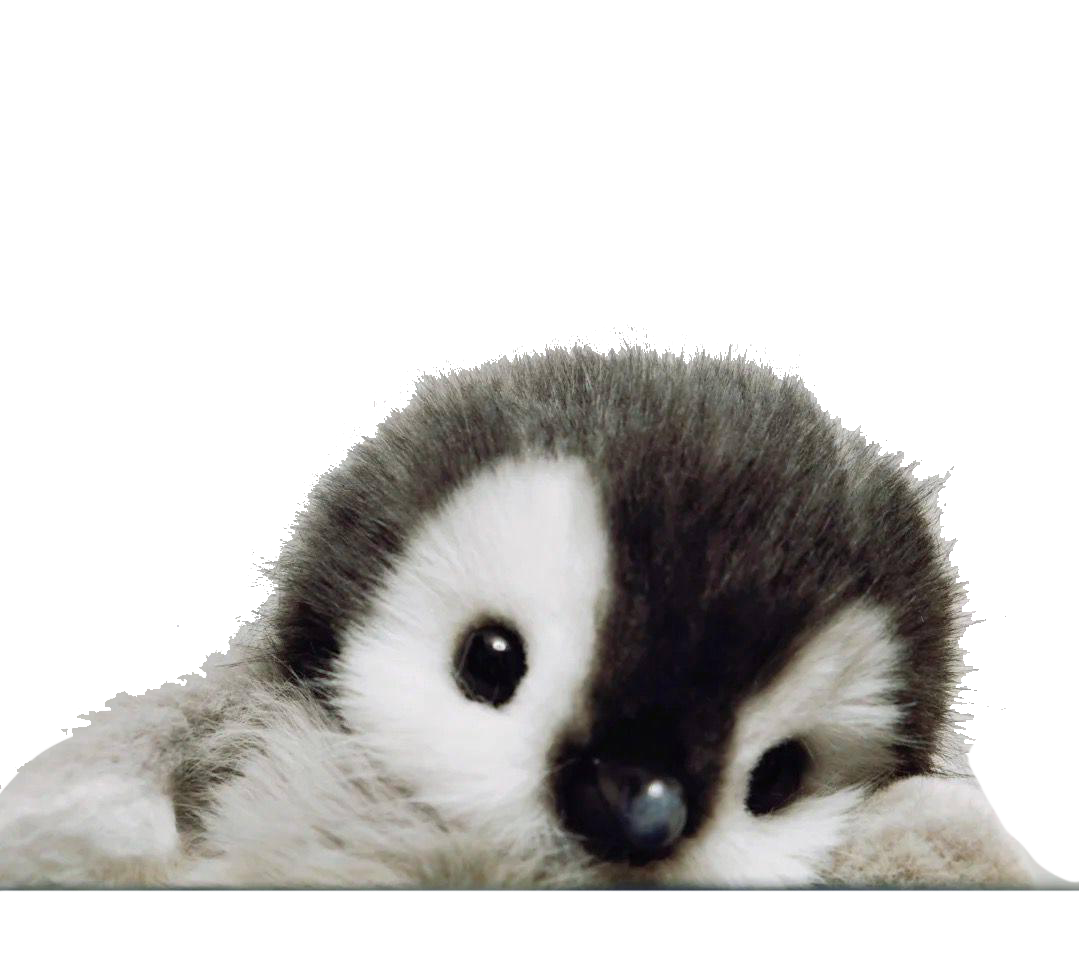Peanie Cute