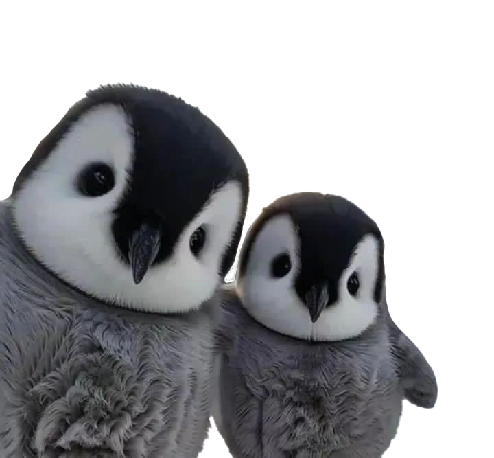 Peanie Doble