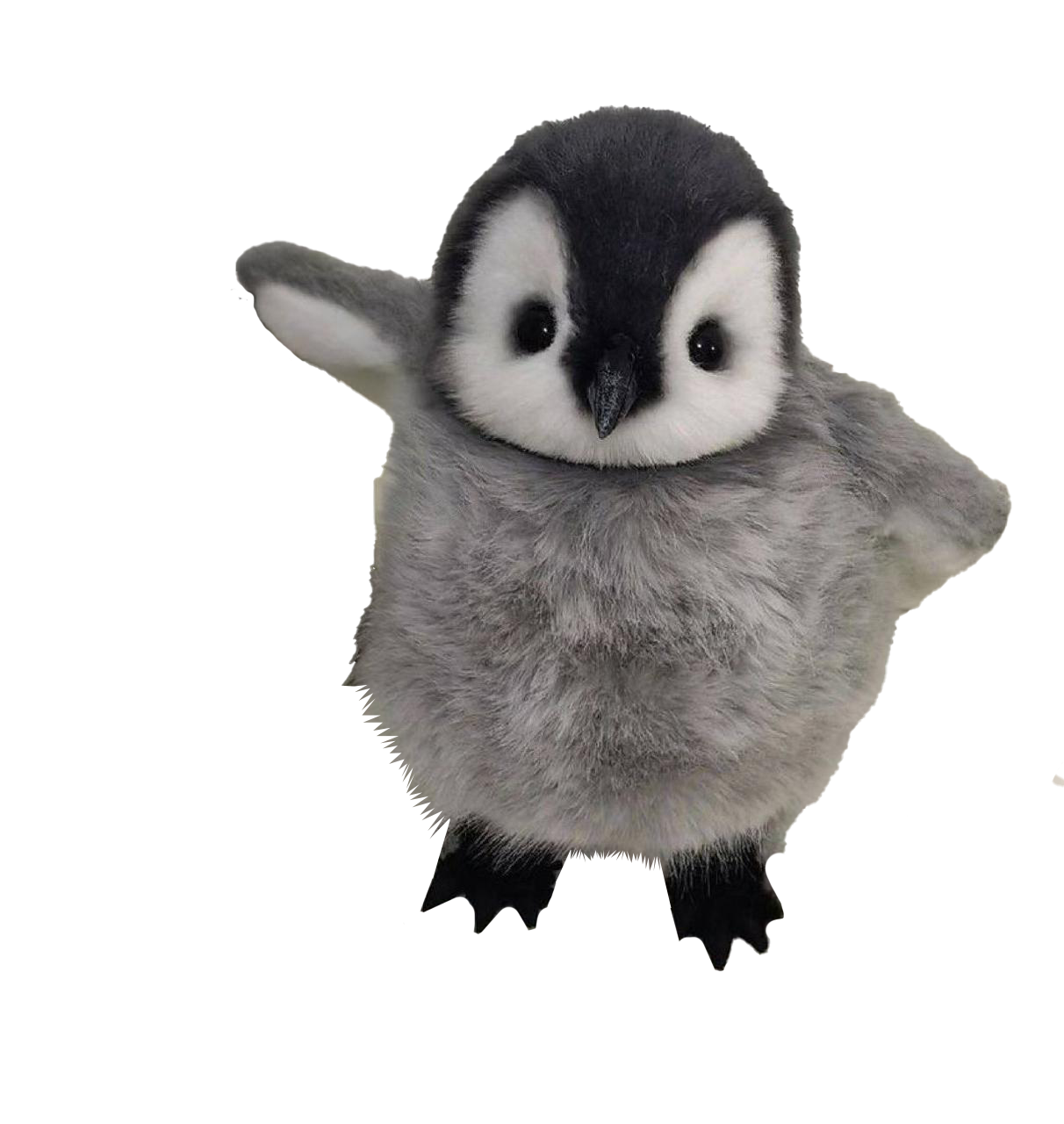 Peanie Wave